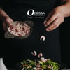 Aperçu de Circulaire Odessa Poissonnier