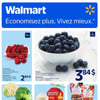Aperçu de Circulaire Walmart