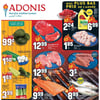 Aperçu de Circulaire Adonis