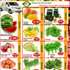 Aperçu de Circulaire Marché Vie en Vert