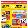 Aperçu de Circulaire Tigre Géant