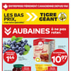 Aperçu de Circulaire Tigre Géant