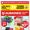 Aperçu de Circulaire Tigre Géant