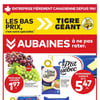 Aperçu de Circulaire Tigre Géant