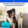 Aperçu de Circulaire Walmart - Promo pour Animaux