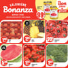 Aperçu de Circulaire Bonanza