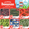 Aperçu de Circulaire Bonanza