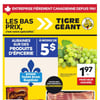 Aperçu de Circulaire Tigre Géant