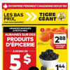 Aperçu de Circulaire Tigre Géant