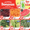 Aperçu de Circulaire Bonanza