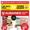 Aperçu de Circulaire Tigre Géant