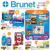 Aperçu de Circulaire Brunet