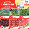 Aperçu de Circulaire Bonanza