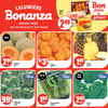 Aperçu de Circulaire Bonanza