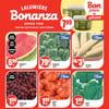 Aperçu de Circulaire Bonanza
