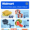 Aperçu de Circulaire Walmart