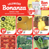 Aperçu de Circulaire Bonanza