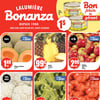 Aperçu de Circulaire Bonanza