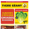 Aperçu de Circulaire Tigre Géant