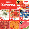 Aperçu de Circulaire Bonanza