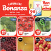 Aperçu de Circulaire Bonanza