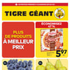 Aperçu de Circulaire Tigre Géant