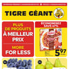Aperçu de Circulaire Tigre Géant