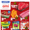 Aperçu de Circulaire Marché AMI
