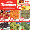 Aperçu de Circulaire Bonanza