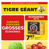 Aperçu de Circulaire Tigre Géant