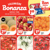 Aperçu de Circulaire Bonanza