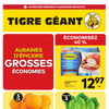 Aperçu de Circulaire Tigre Géant