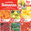 Aperçu de Circulaire Bonanza