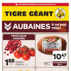 Aperçu de Circulaire Tigre Géant
