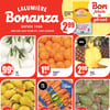 Aperçu de Circulaire Bonanza