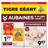 Aperçu de Circulaire Tigre Géant
