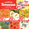 Aperçu de Circulaire Bonanza
