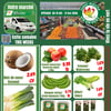 Aperçu de Circulaire Marché Vie en Vert