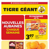 Aperçu de Circulaire Tigre Géant