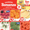 Aperçu de Circulaire Bonanza