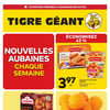 Aperçu de Circulaire Tigre Géant