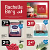 Aperçu de Circulaire Rachelle-Béry