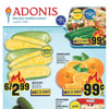 Aperçu de Circulaire Adonis