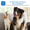 Aperçu de Circulaire Walmart - Le Mois des Animaux de Compagnie