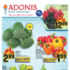 Aperçu de Circulaire Adonis
