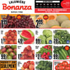 Aperçu de Circulaire Bonanza