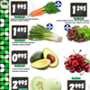 Aperçu de Circulaire TAU Marché d'alimentation Naturelle - Biologique