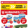 Aperçu de Circulaire Tigre Géant
