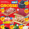Aperçu de Circulaire Maxi