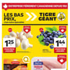 Aperçu de Circulaire Tigre Géant